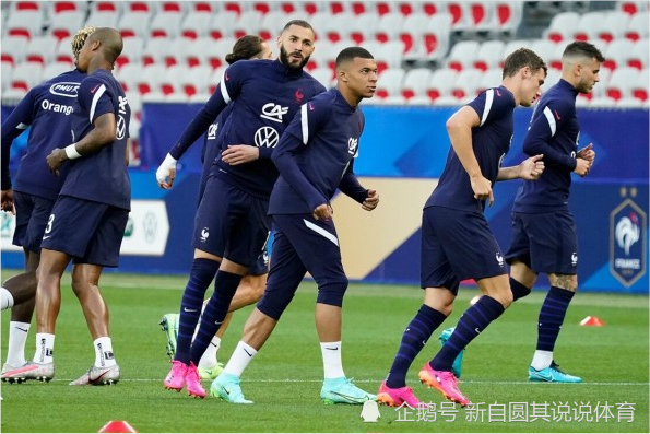 斗志昂扬！瑞士队与威尔士队争夺平局的简单介绍